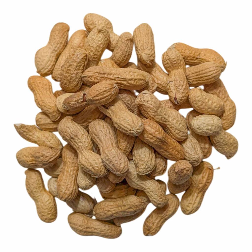 ARACHIDE COQUE BIO/ KG