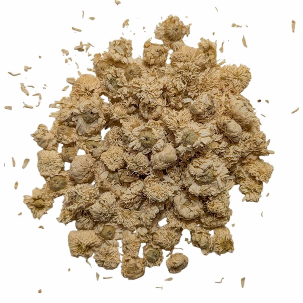 CAMOMILLE ROMAINE BIO /KG