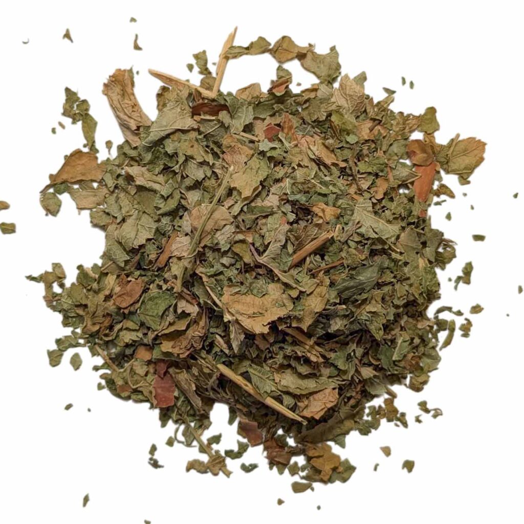 CASSIS FEUILLE BIO /KG