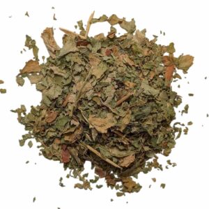 CASSIS FEUILLE BIO /KG