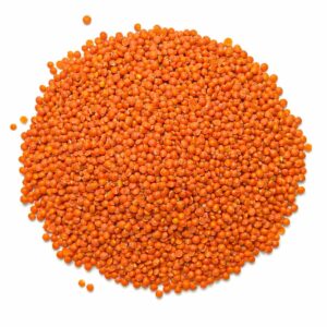 LENTILLES CORAIL BIO /KG