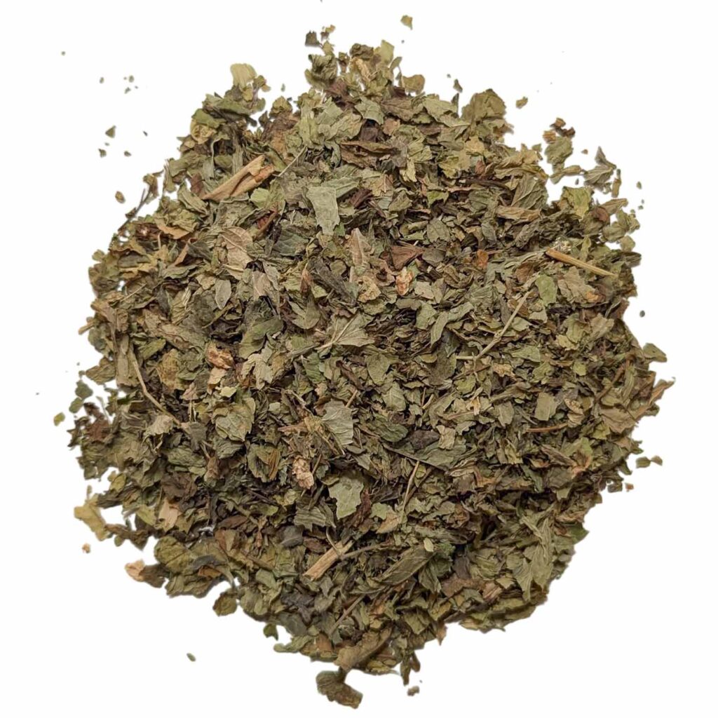 MENTHE NAHNAH BIO /KG