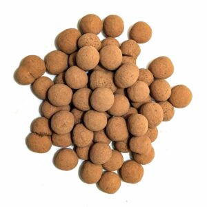 NOISETTES CHOCOLAT NOIR BIO /KG