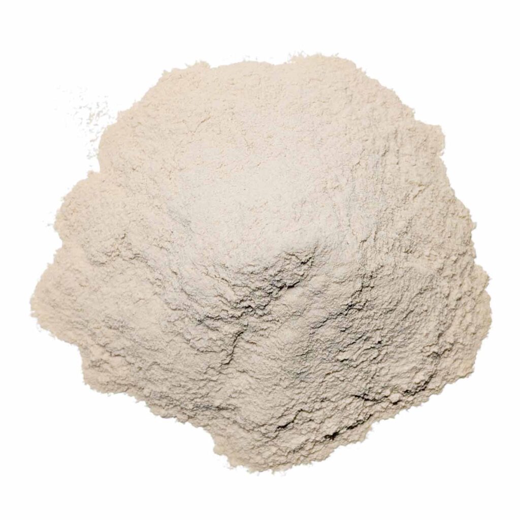 Psyllium bio au kilo Ecoidées