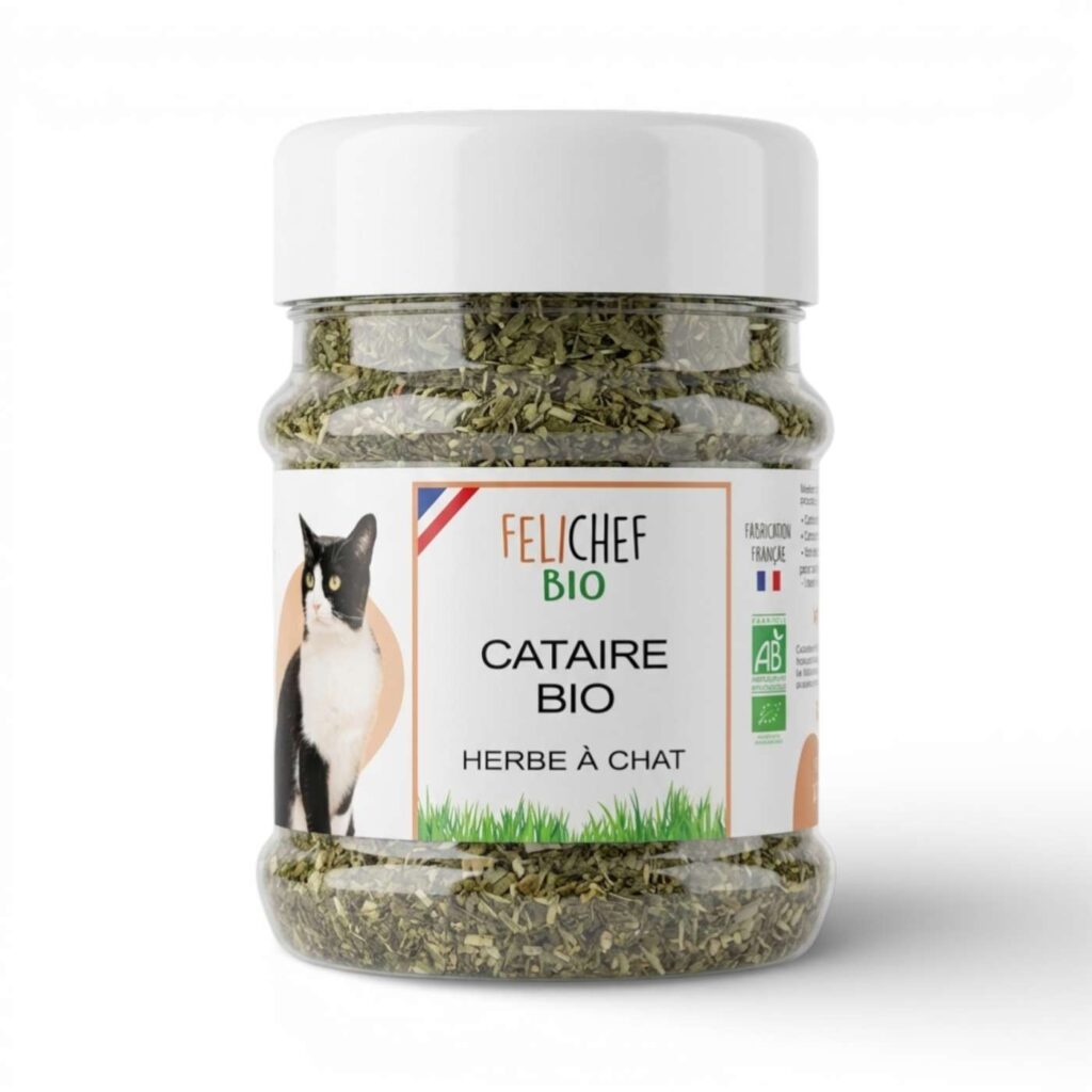 HERBE A CHAT 40GR FELICHEF