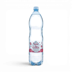 EAU MINERALE FORTEMENT PETILLANTE 1.5L CELTIC
