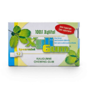 Chewing-gum à la menthe verte 16,8 g Xyli Gum
