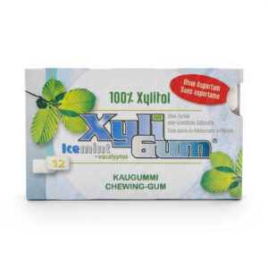 CHEWING-GUM MENTHE EUCALYPTUS16.8GR XYLI GUM