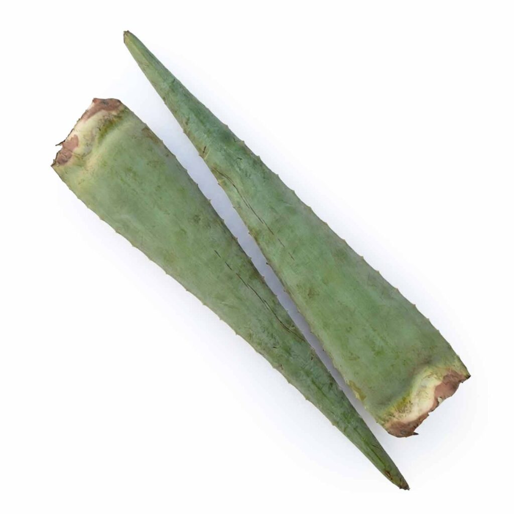 Aloe Vera Kg