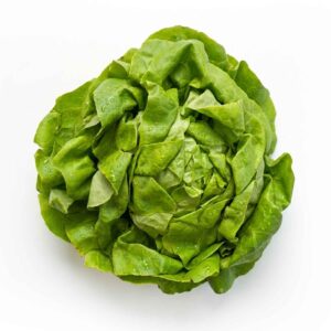 Salade laitue