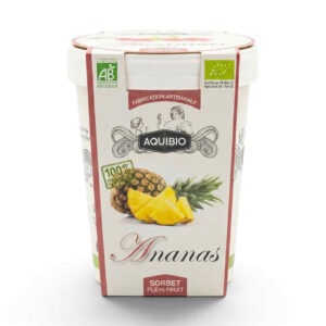 SORBET ANANAS 500ML AQUIBIO