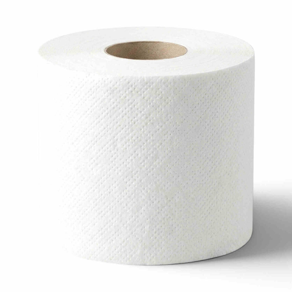 Papier toilette en vrac 600 feuilles France Papeco