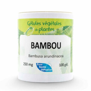BAMBOU EXSUDAT X 100G ESD