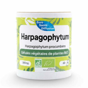 HARPAGOPHYTUM 60 GEL BIO