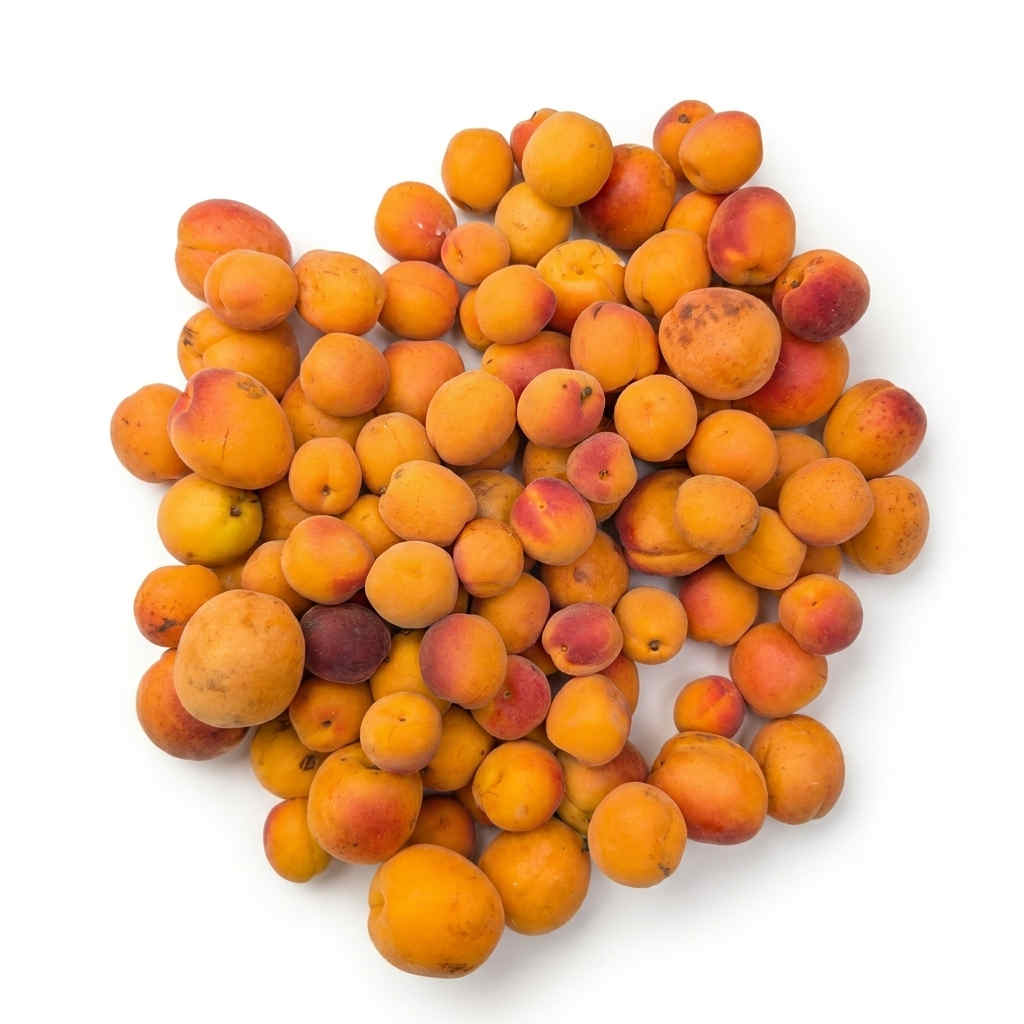 Abricots Bio / Kg