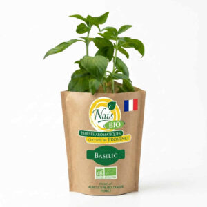 BASILIC BOUQUET FRAIS/P