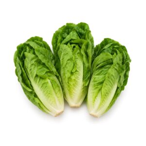 Salade sucrine à la pièce