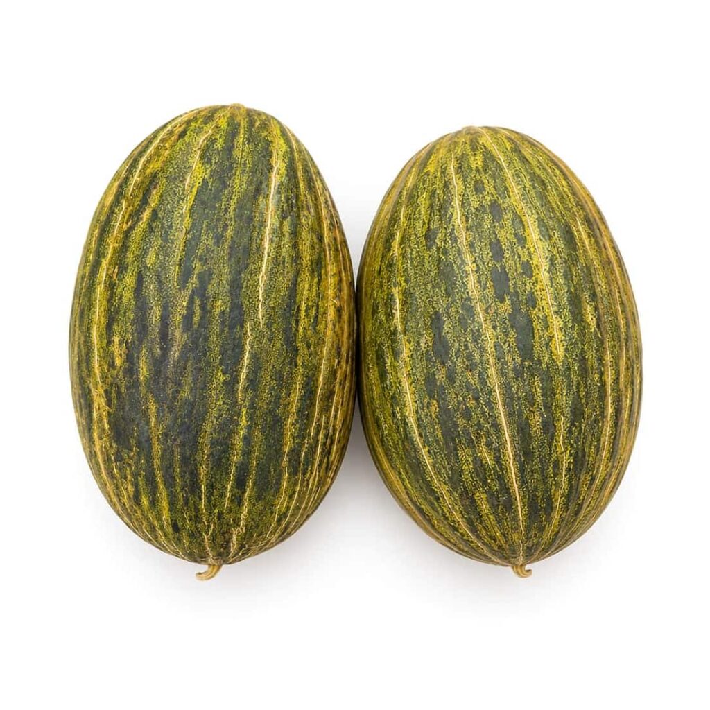 Melon Piel de Sapo au kilo