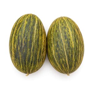 Melon Piel de Sapo, chair blanche sucrée, Biomonde Lavaur