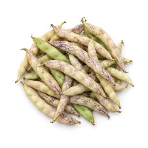 Coco de Paimpol frais à écosser, au kilo, Biomonde Lavaur